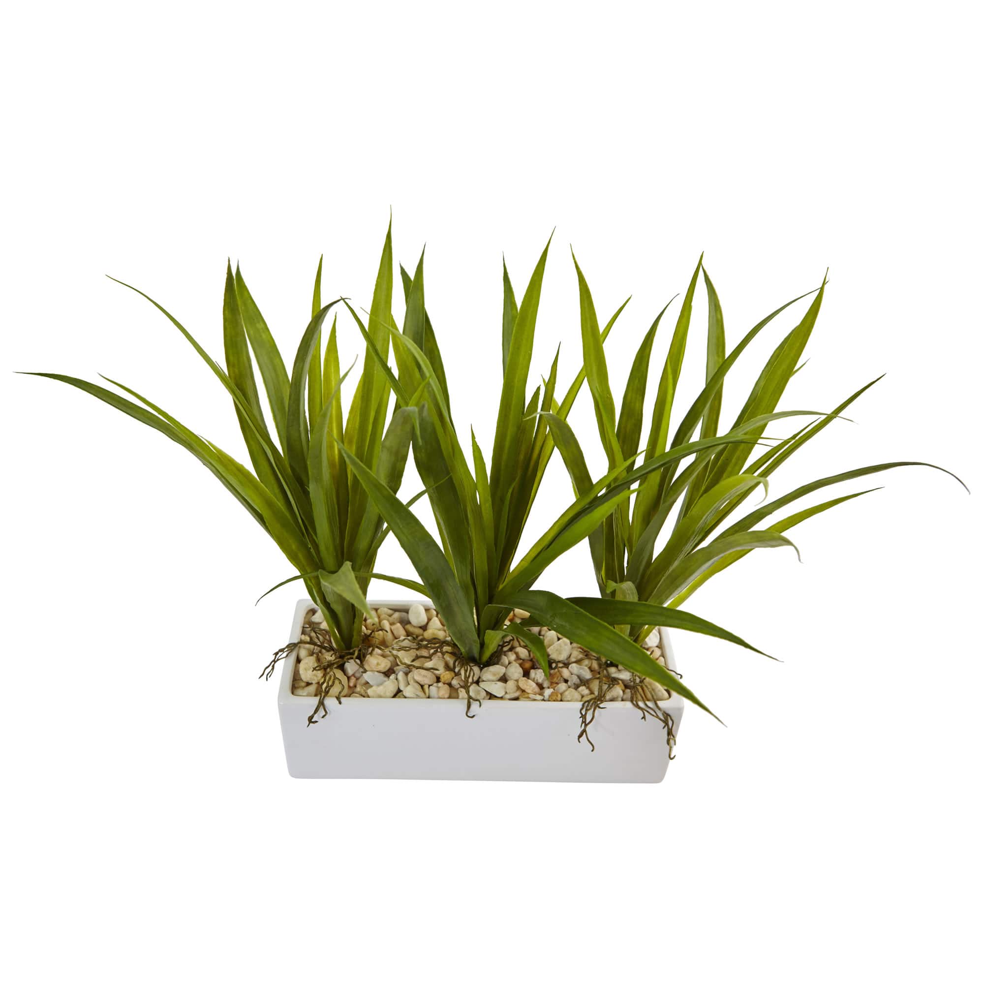16" Grass in White Rectangular Planter
